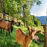 Nature Hideaway Homes With Sauna - Two Bedroom *