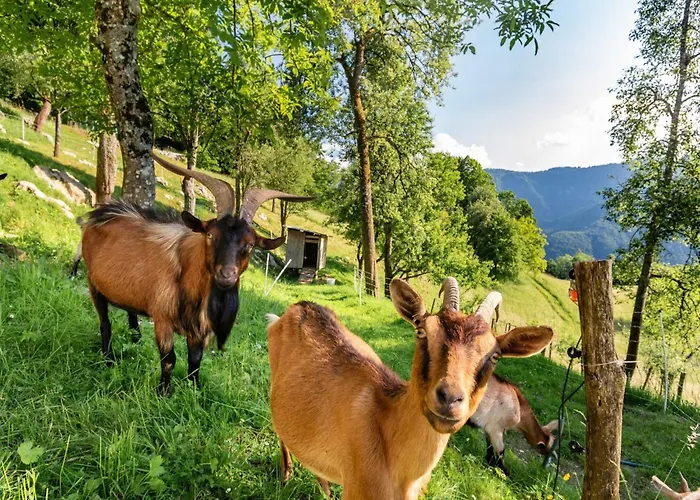 Nature Hideaway Homes With Sauna - Two Bedroom *